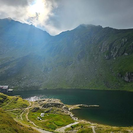 Casa Oaspeti Transfagarasan Daire Cîrţişoara Dış mekan fotoğraf