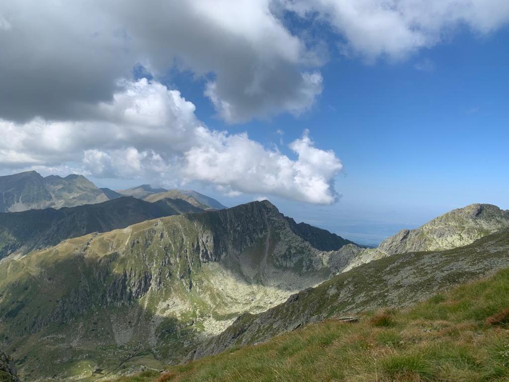 Casa Oaspeti Transfagarasan Daire Cîrţişoara Dış mekan fotoğraf