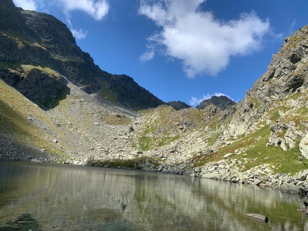 Casa Oaspeti Transfagarasan Daire Cîrţişoara Dış mekan fotoğraf