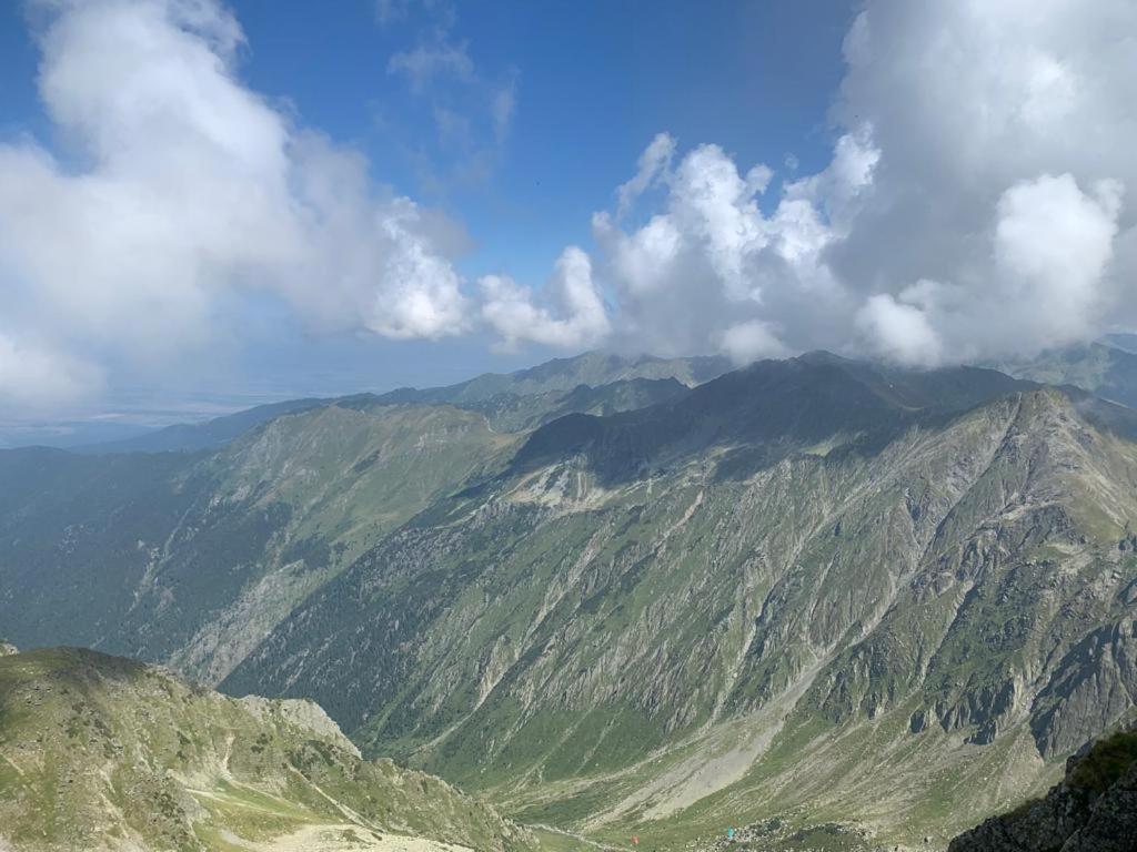 Casa Oaspeti Transfagarasan Daire Cîrţişoara Dış mekan fotoğraf