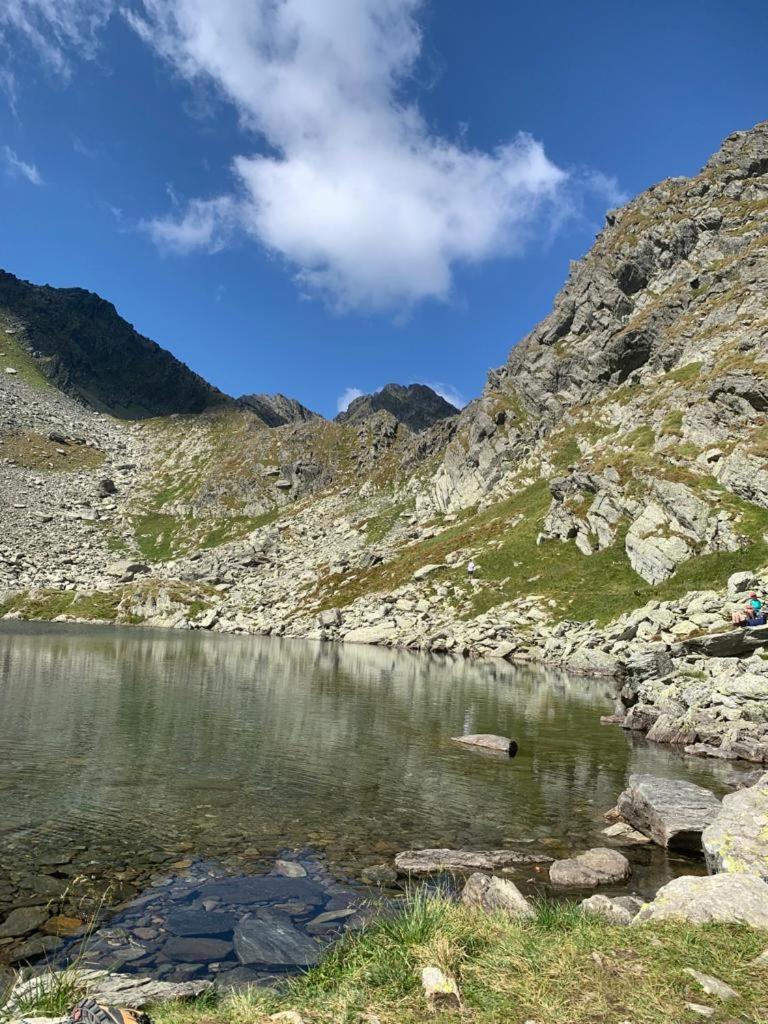 Casa Oaspeti Transfagarasan Daire Cîrţişoara Dış mekan fotoğraf