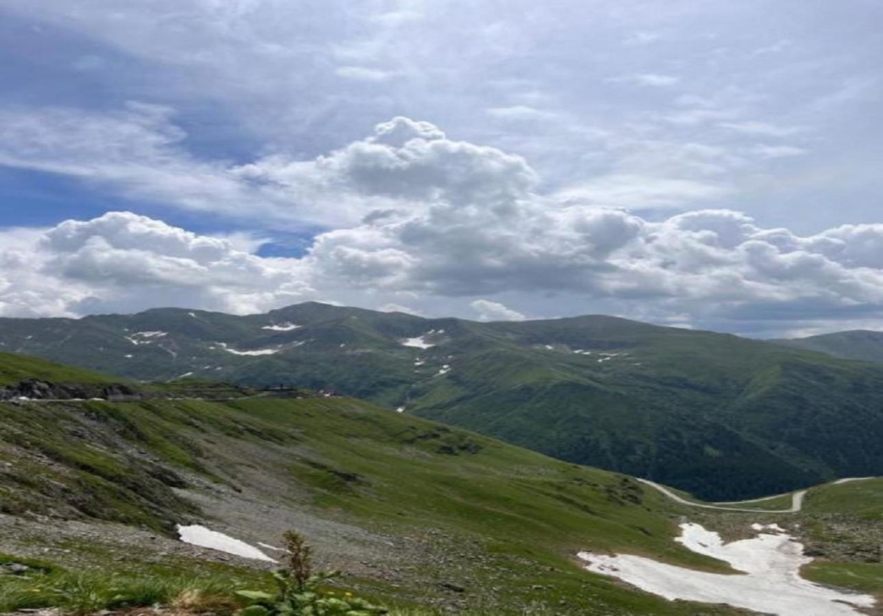 Casa Oaspeti Transfagarasan Daire Cîrţişoara Dış mekan fotoğraf