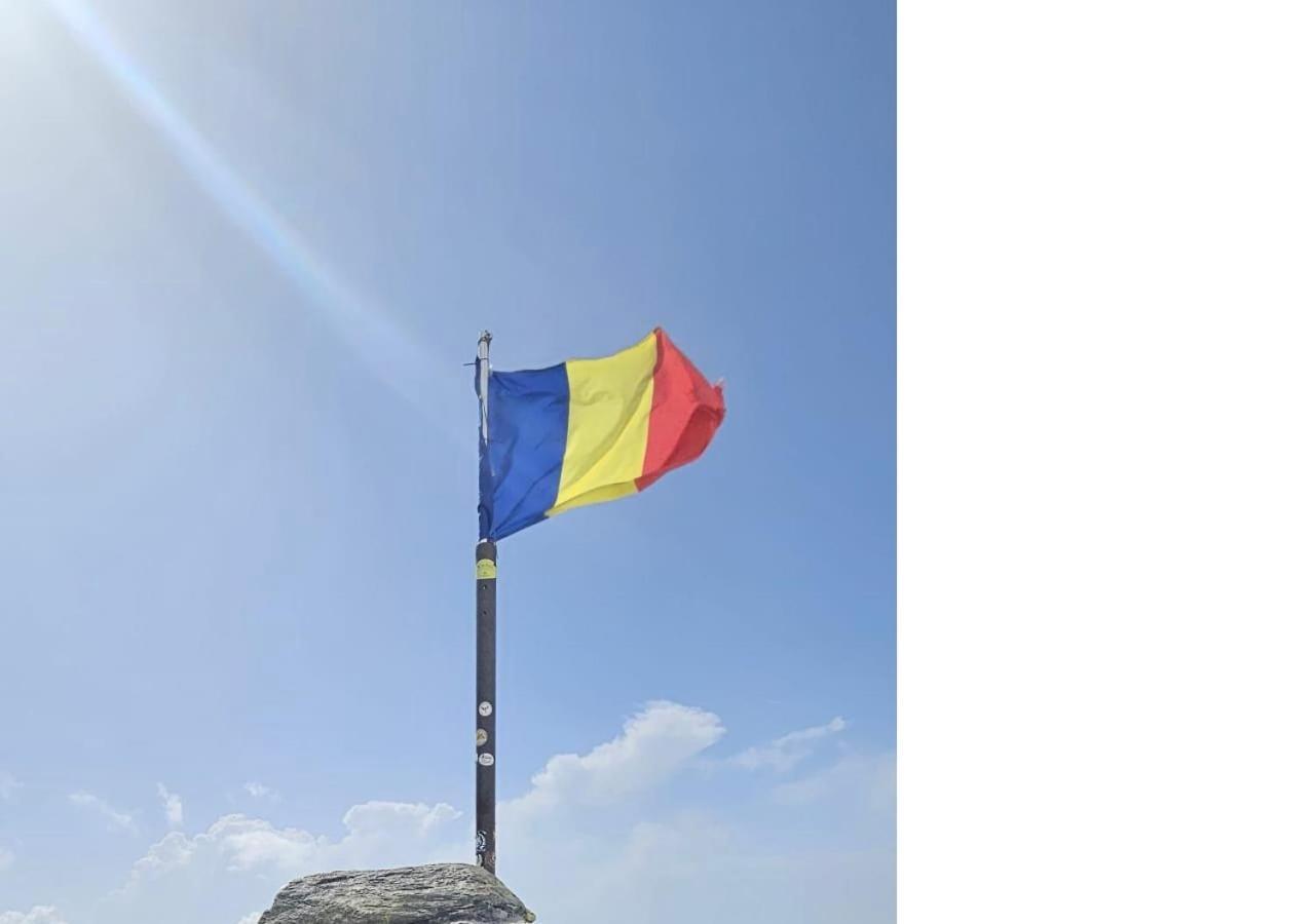 Casa Oaspeti Transfagarasan Daire Cîrţişoara Dış mekan fotoğraf